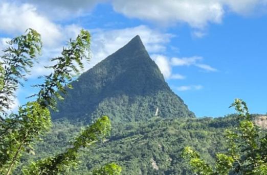 Gestión Ambiental y Sostenibilidad