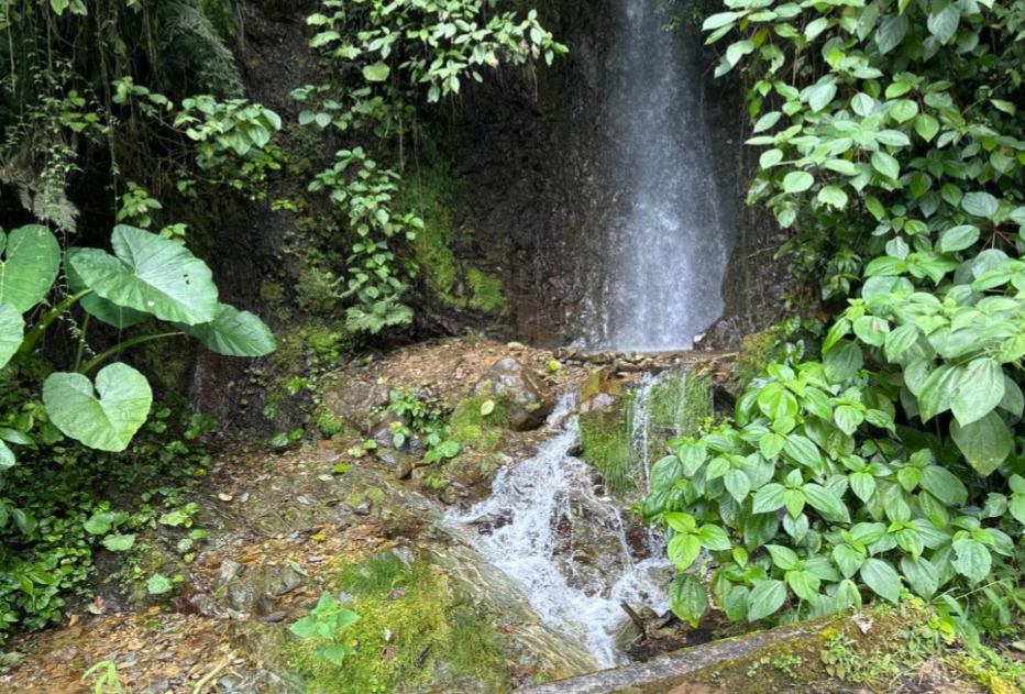 Gestión Ambiental y Sostenibilidad
